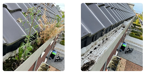 Dakgoot reinigen: onze aanpak